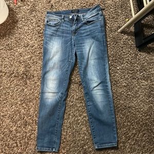 These are Judy Blue size 5 jeans!